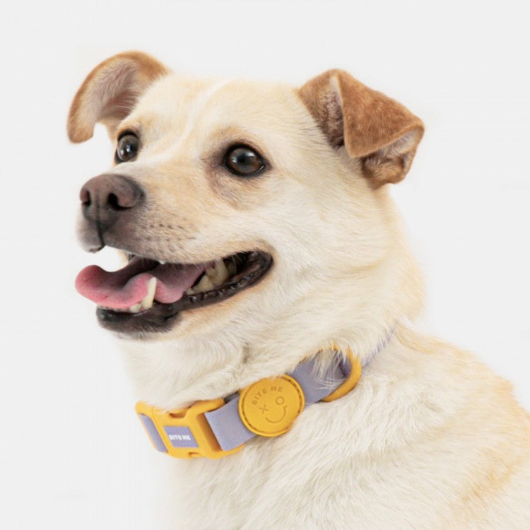 Macaron Waterproof Collar - Taro