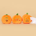 Tangerines Nosework Toy