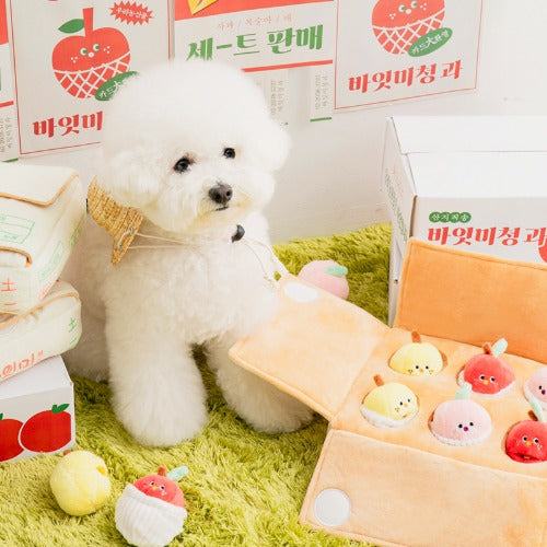 Mixed Fruits Box Nosework Toy