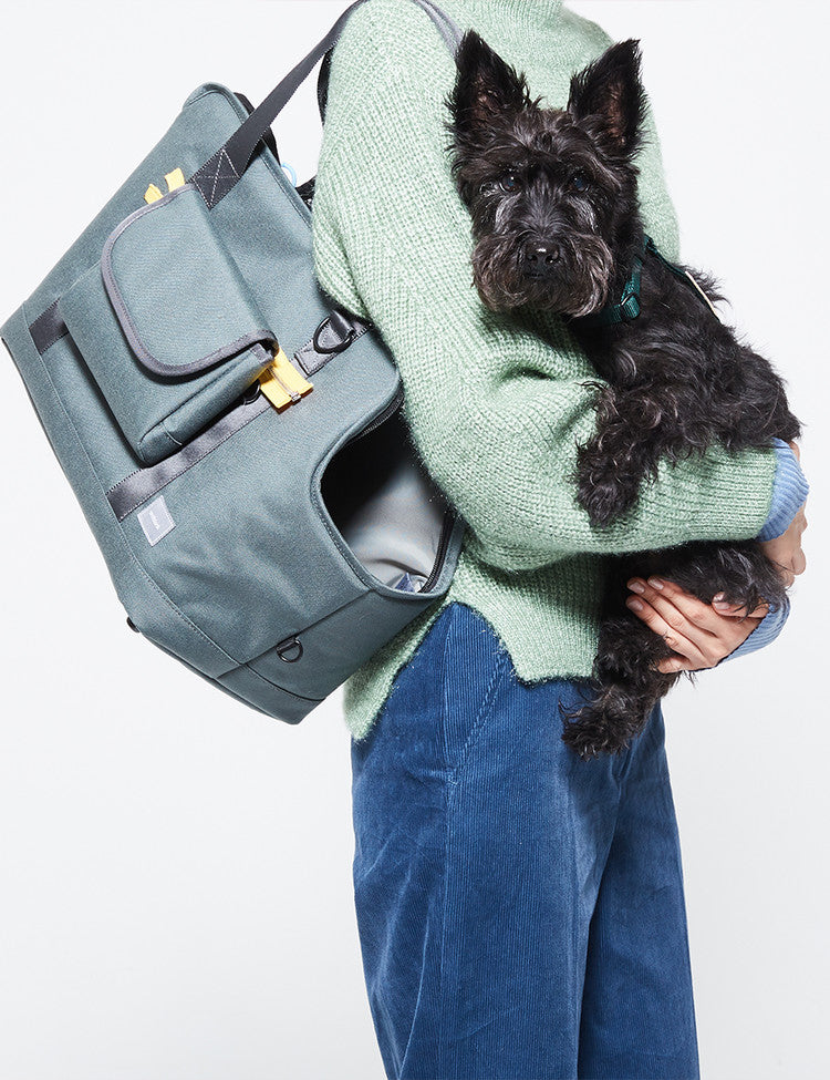 Pet Carrier - Grey