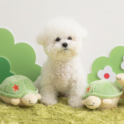 Jumping Boogie Auto-Ball Toy with Snuffle Mat Set