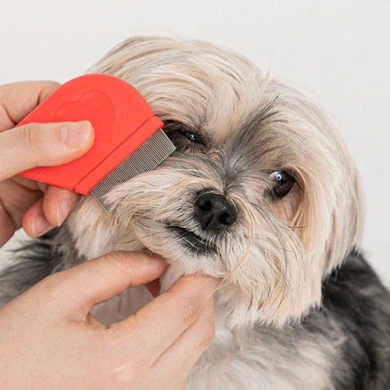 Jelly Bear Round Face Comb