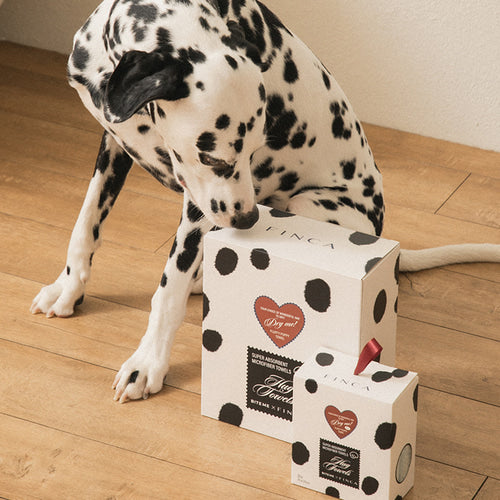 BITEME X FINCA Dry Me Microfibre Pet Towel - 2 Colors