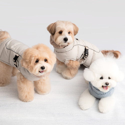 Double Heat Harness Padded Jacket - Solid (2 Colors)