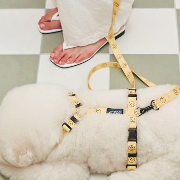 Smile Leash - Blue