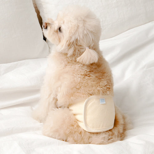 Soft Hug Manner Belt - 3 Colors