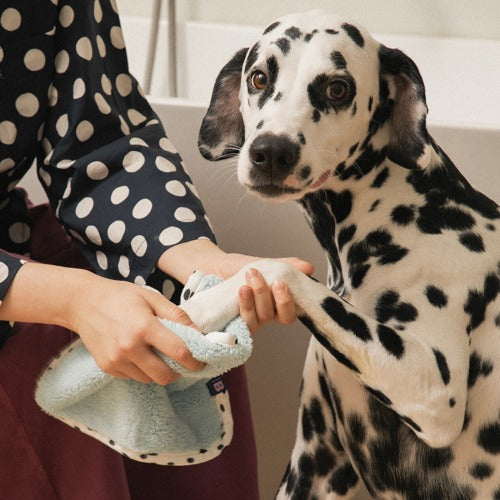 BITEME X FINCA Dry Me Microfibre Pet Towel - 2 Colors