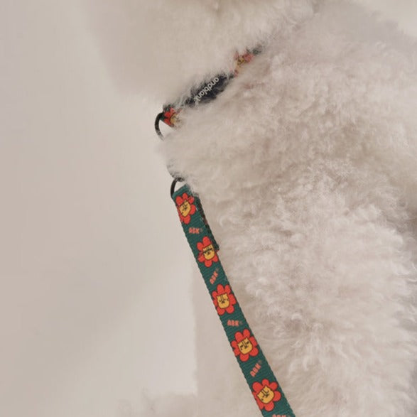 Flower Lion Pet Collar - Green