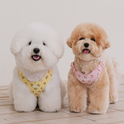 Bear Bebe Harness - 3 Colors