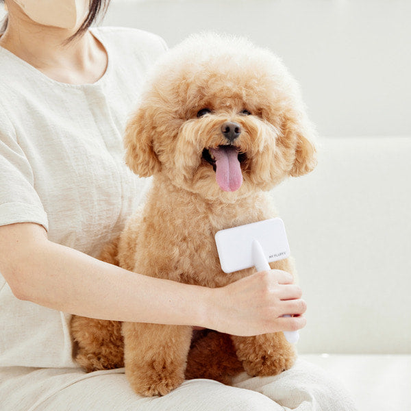 Slicker Easy Brush