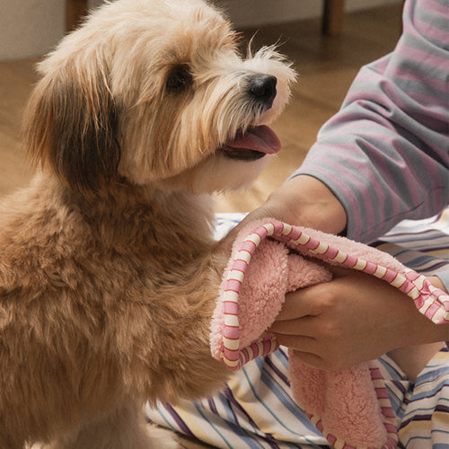BITEME X FINCA Dry Me Microfibre Pet Towel - 2 Colors
