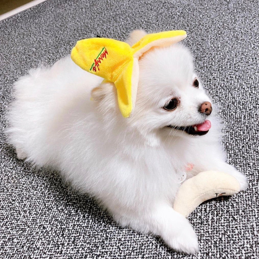 Banana Nosework Toy