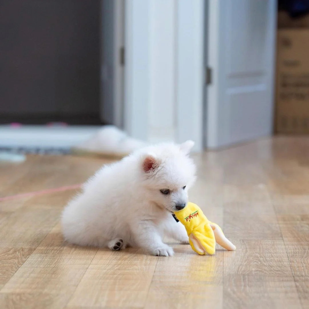 Banana Nosework Toy