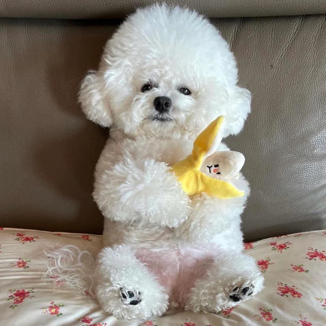 Banana Nosework Toy