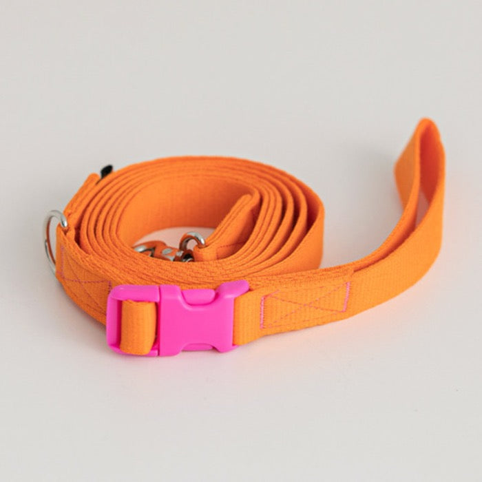 Candy Crayon Leash - 6 Colors