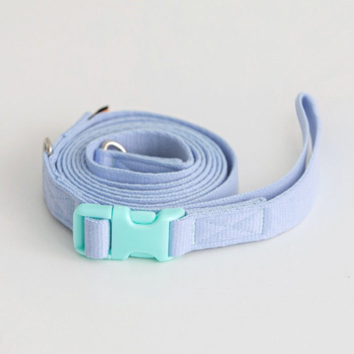 Candy Crayon Leash - 6 Colors